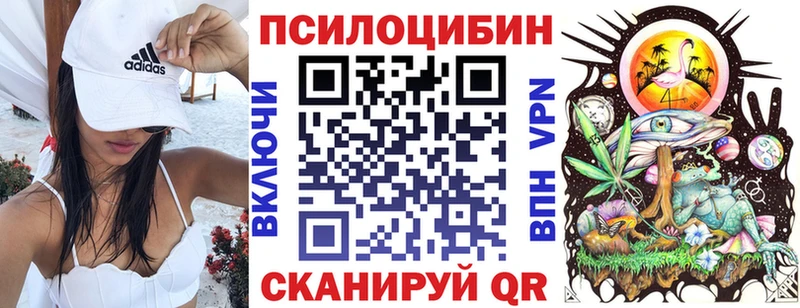 сайты даркнета клад  Североморск  Псилоцибиновые грибы мицелий  продажа наркотиков 